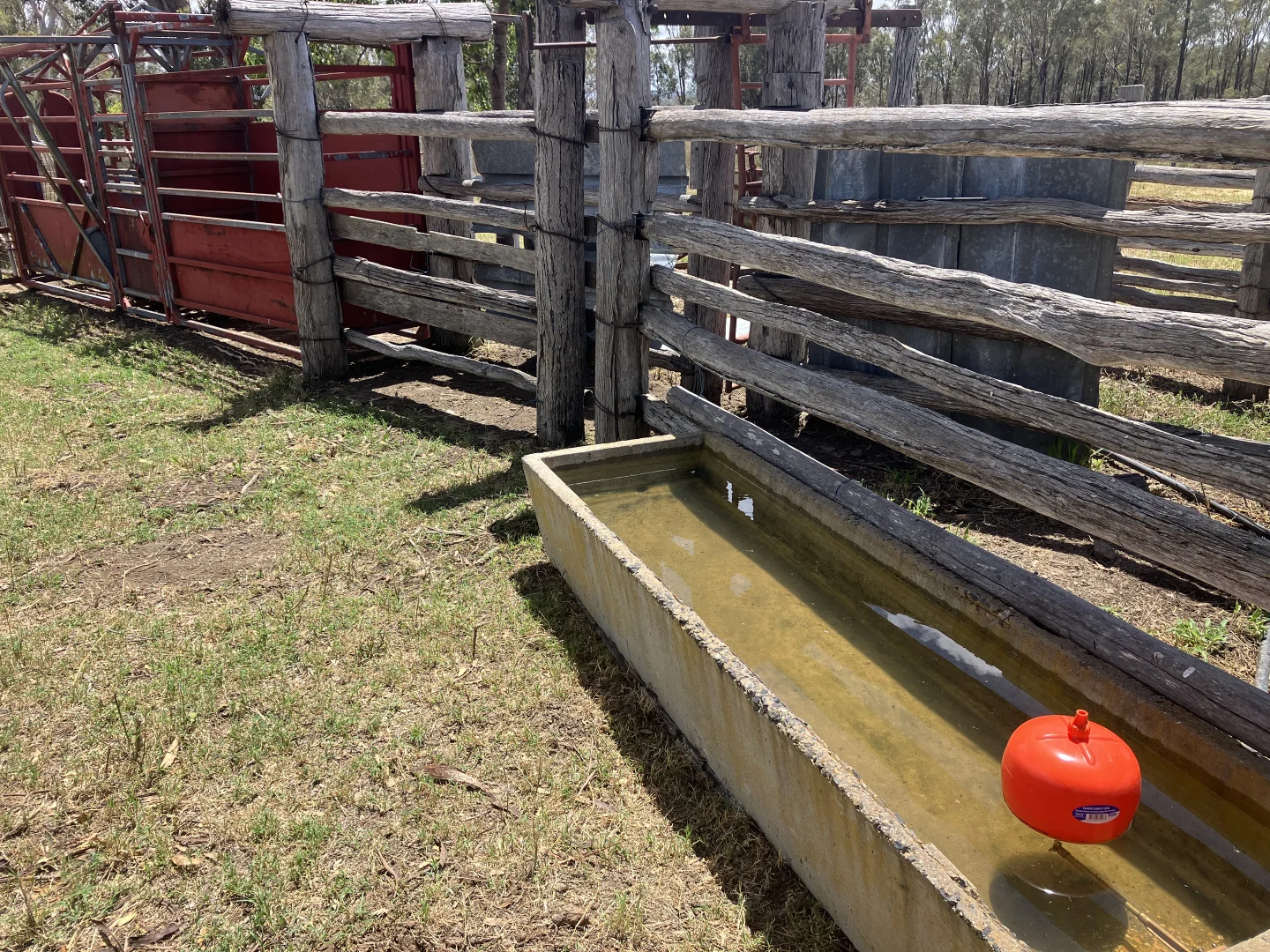 Additional image 30 of 'Hutton' 570 Hazeldene Road, Thanes Creek QLD 4370