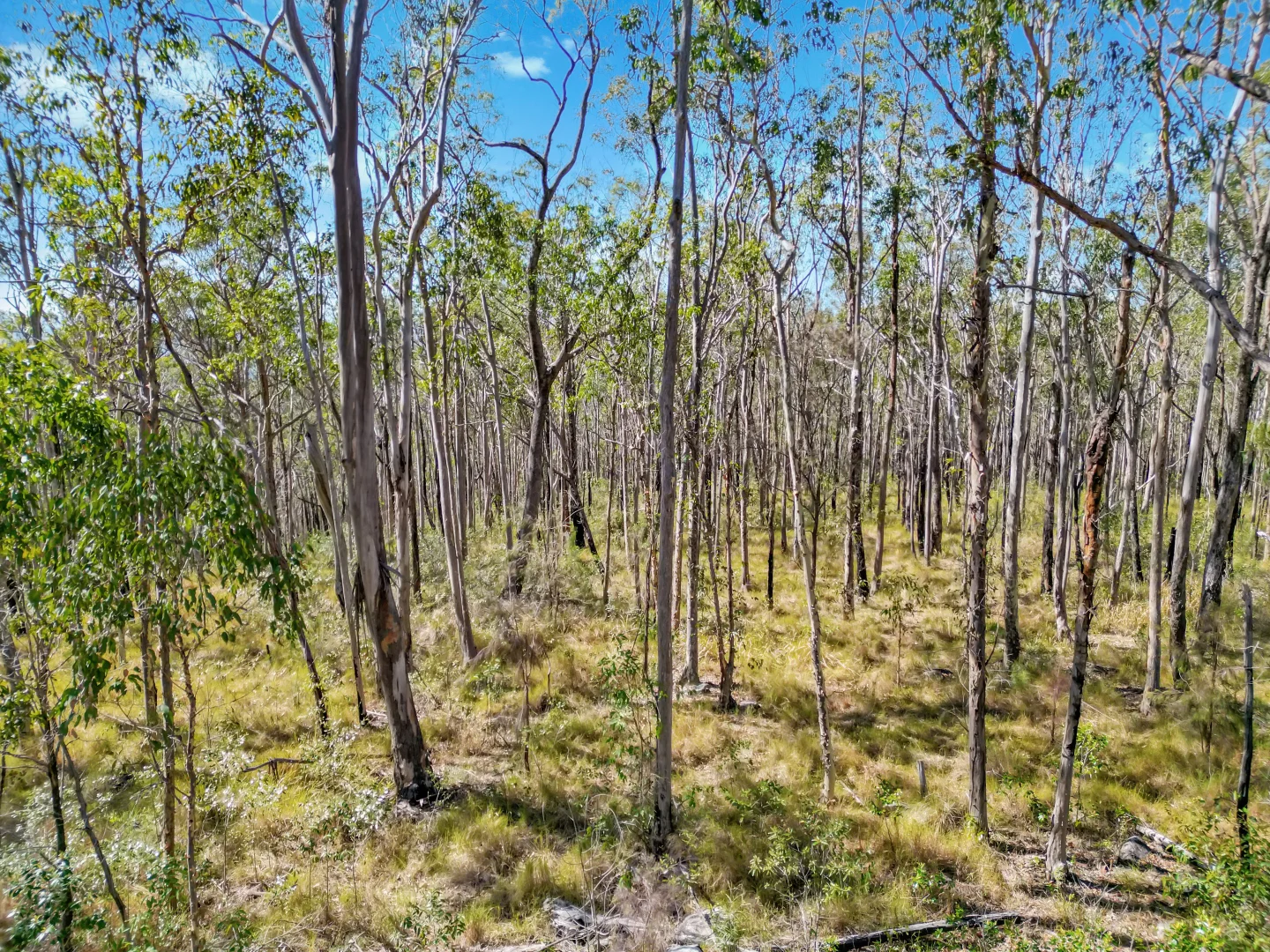 Additional image 5 of Lot 17 Ogilvie Drive, Tabulam NSW 2469