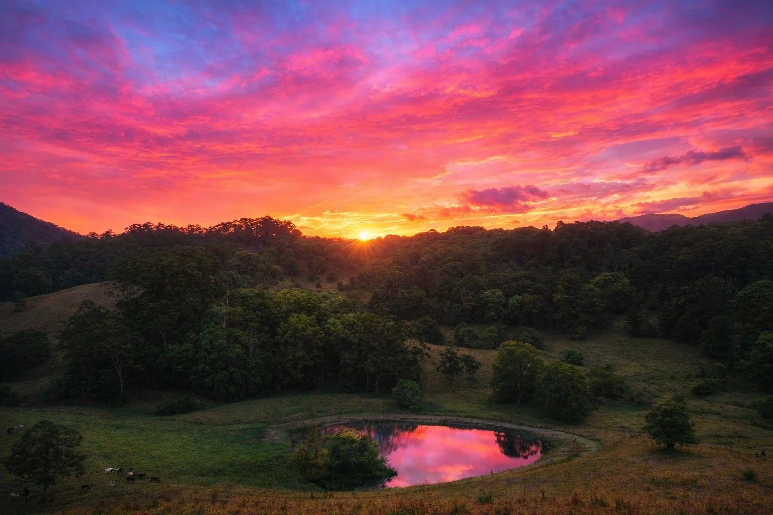 Additional image 29 of 6 Ringtail Road, Stokers Siding NSW 2484
