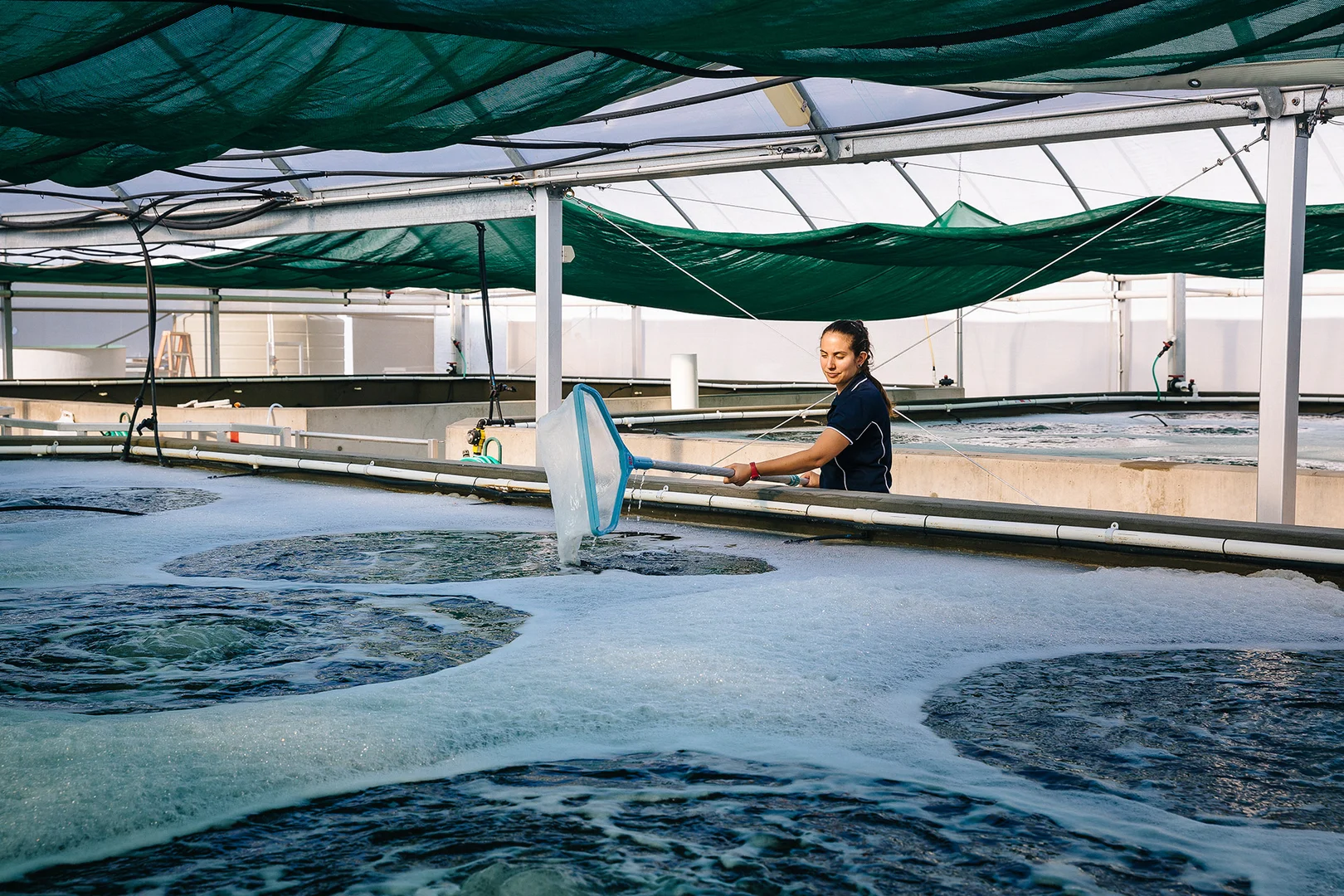 Additional image 11 of Alva QLD 4807