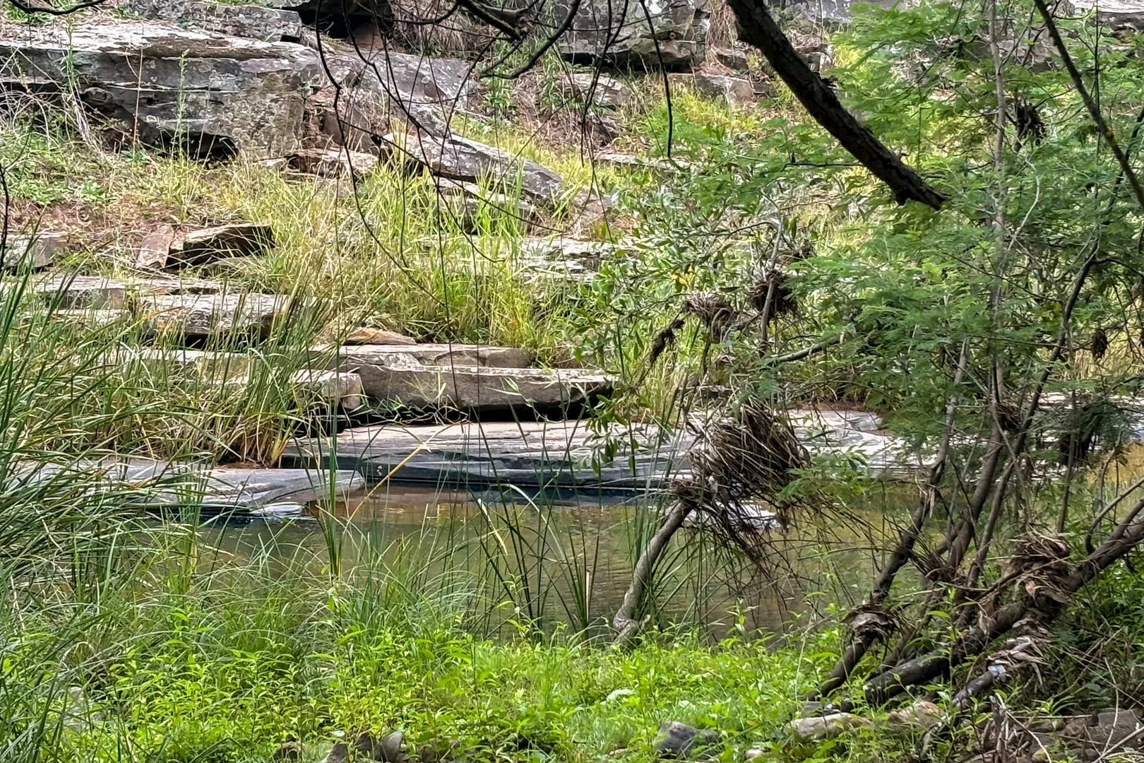 Additional image 24 of 590 Old Tolmie Road, Barwite VIC 3722