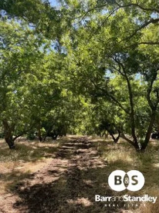 Additional image 48 of 285 Anderson Rd (THOMSON BROOK), Kirup WA 6251