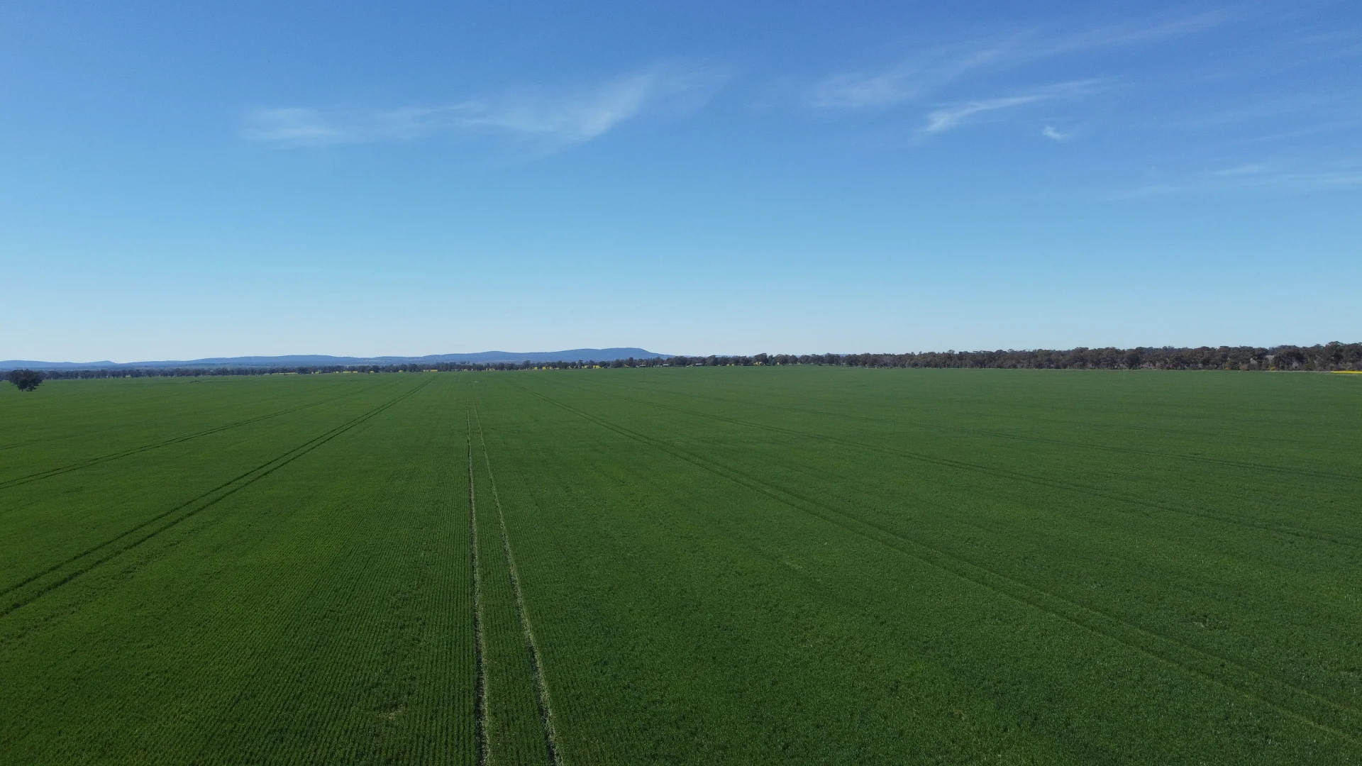 Additional image 4 of 92 Millers Lane, Parkes NSW 2870