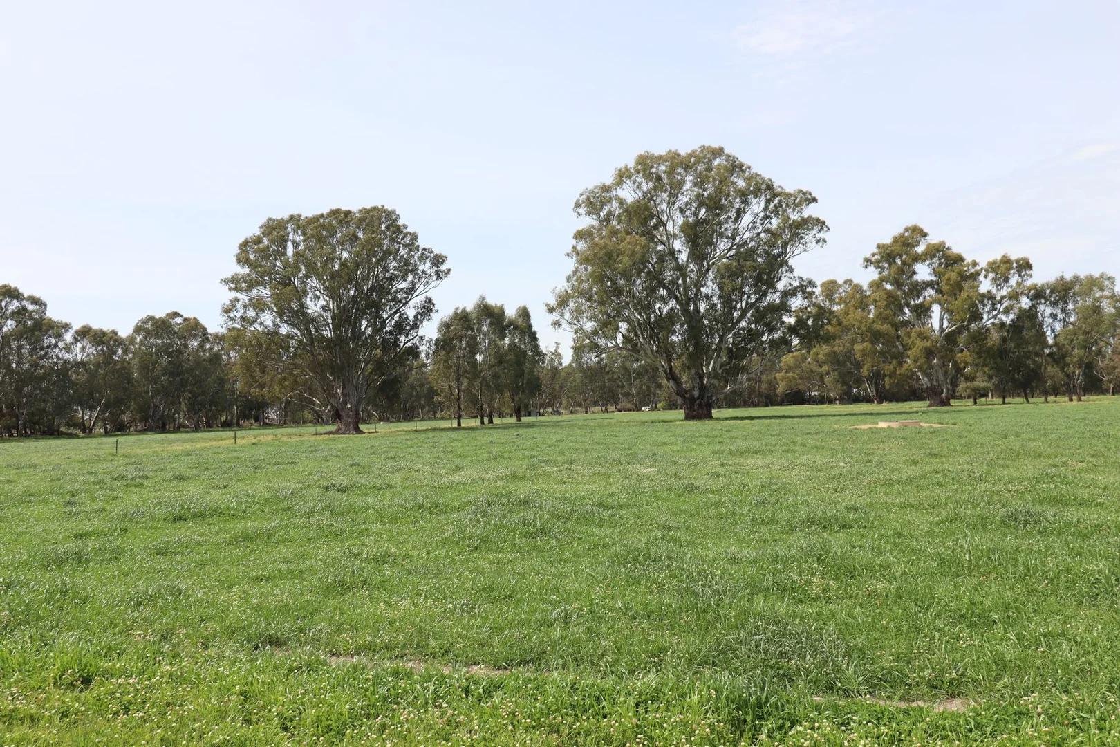 Additional image 28 of 135 Kennedys Road, Cohuna VIC 3568