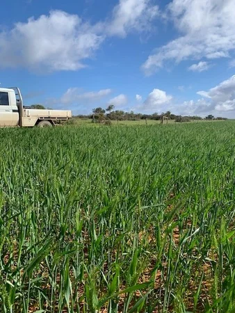 Additional image 9 of 2944 OTC Road, Wandana SA 5690