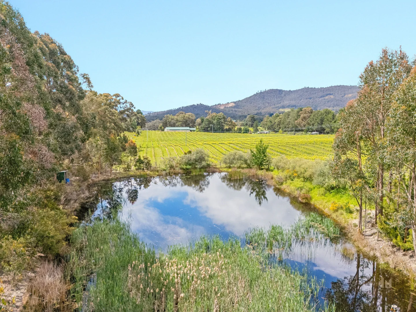 Additional image 28 of 1854 Cygnet Coast Road, Cradoc TAS 7109