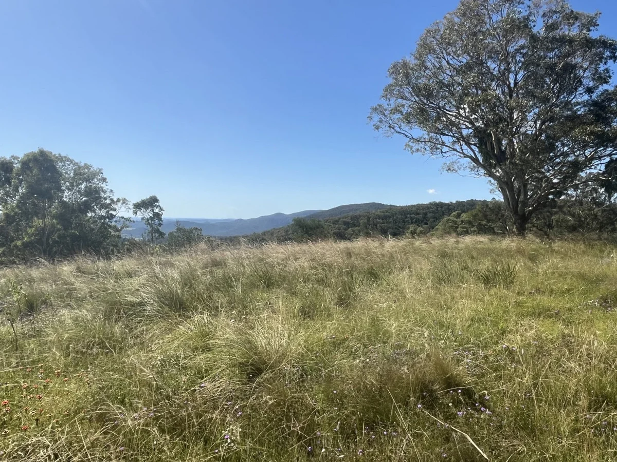 Additional image 10 of Lot 1 Dormans Gully, Bunya Mountains QLD 4405