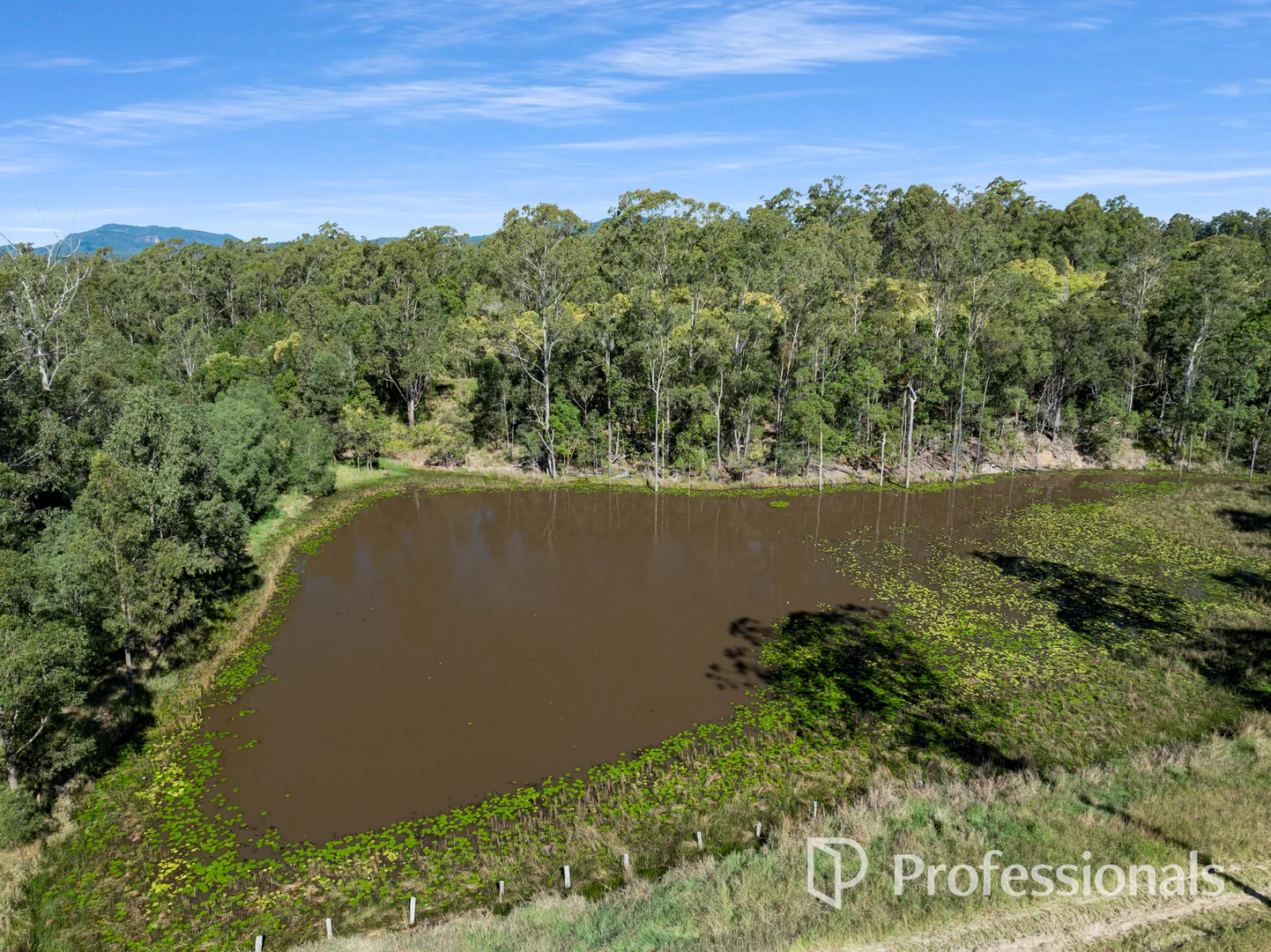 Additional image 38 of 175 Tunnel Road, Imbil QLD 4570