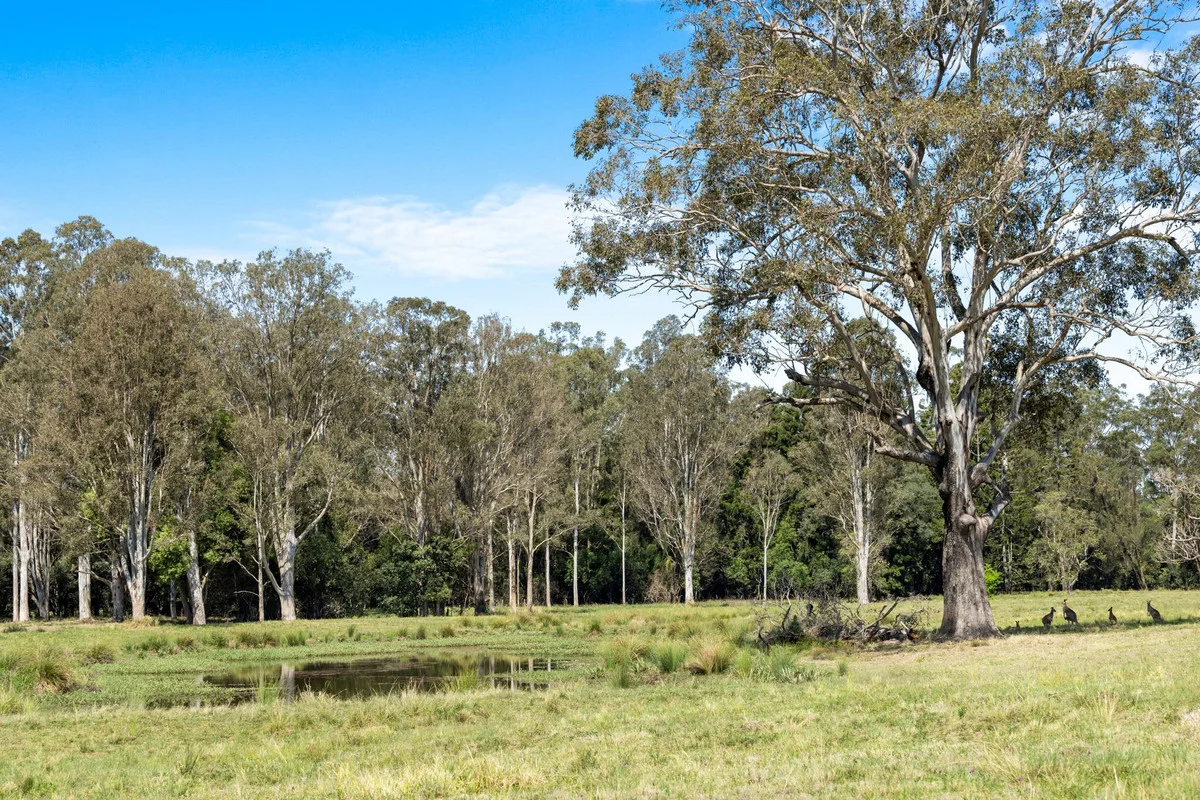 Additional image 9 of 475 Ellangowan Road, Yorklea NSW 2470