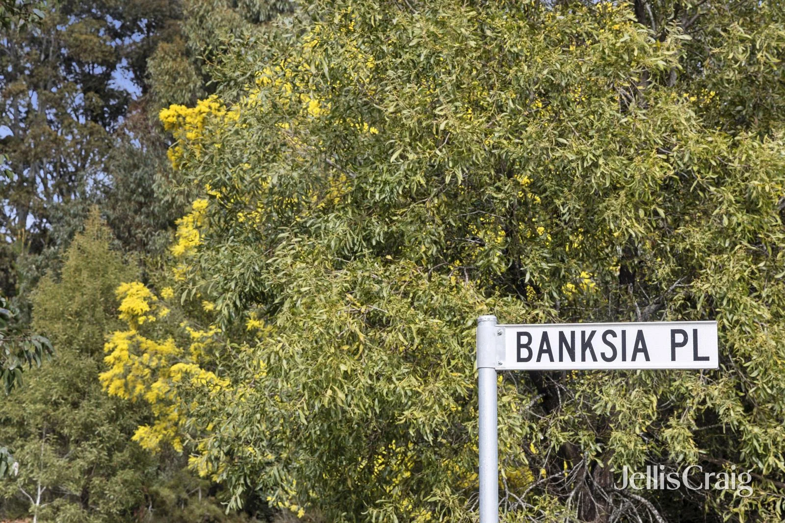 Additional image 8 of 5 Banksia Place, Trentham VIC 3458