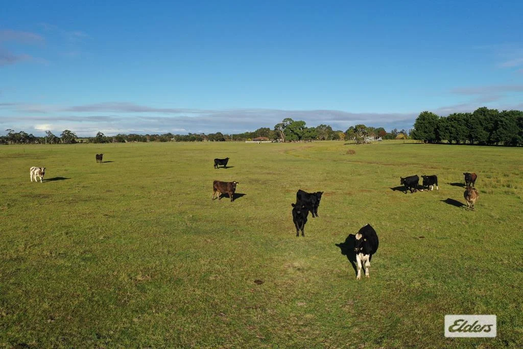 Additional image 4 of 4 Masons Road, Yarram VIC 3971