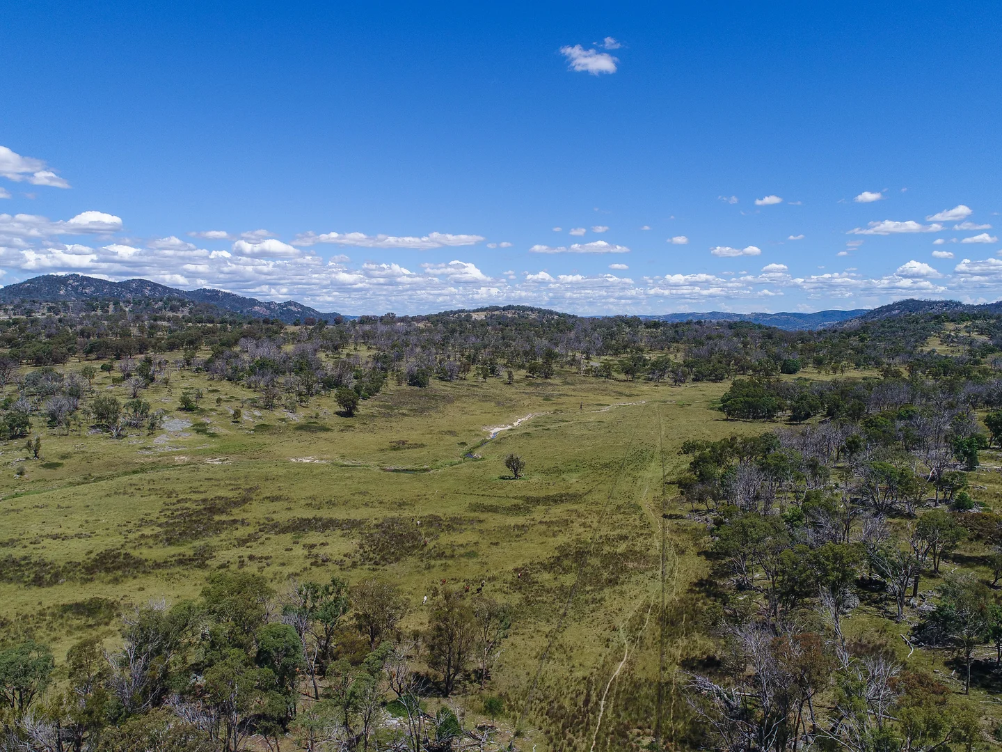 Additional image 5 of 778 Torryburn Road, Yarrowyck NSW 2358