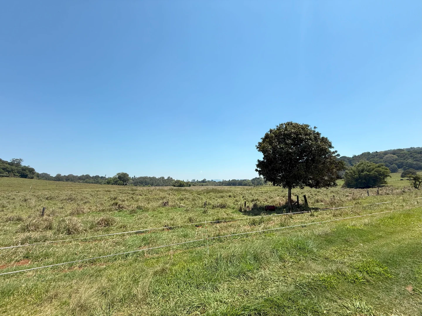 Additional image 65 of 767 Peeramon Road, Peeramon QLD 4885