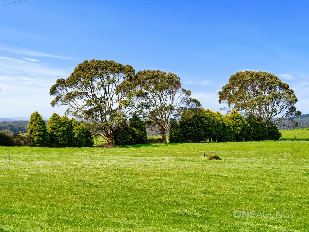 Additional image 7 of Cyathea Road, Forest TAS 7330