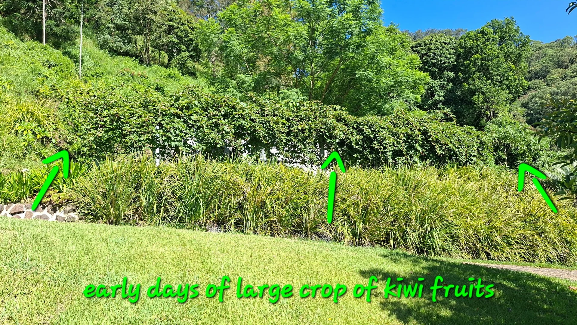 Additional image 21 of 32/265 Martin Road, Larnook NSW 2480