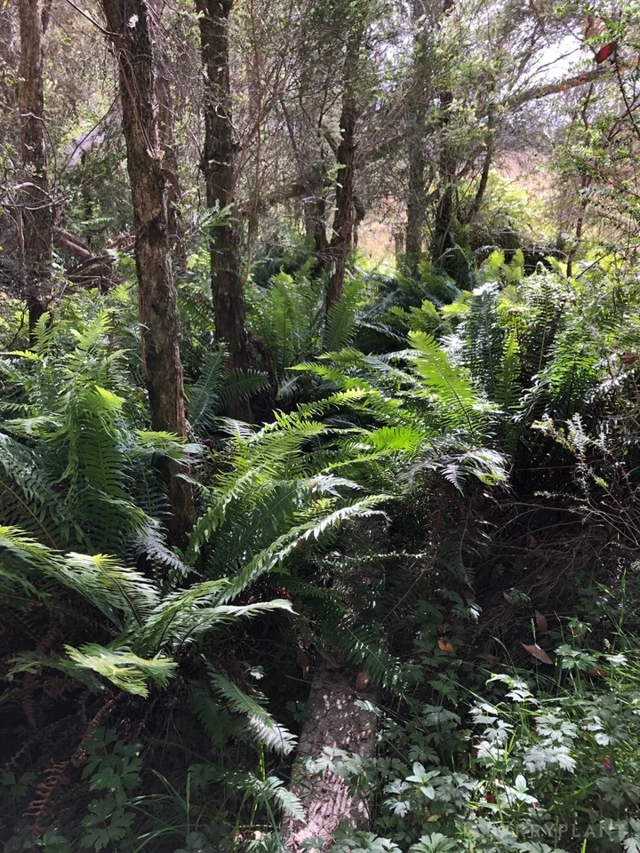 Additional image 7 of 450 Sheepstation Creek Road, Yellingbo VIC 3139