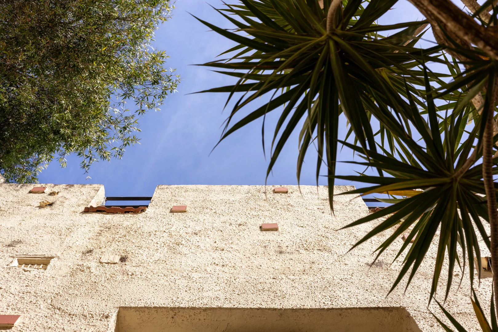 Additional image 12 of 8/64 Sir Thomas Mitchell Road, Bondi Beach NSW 2026