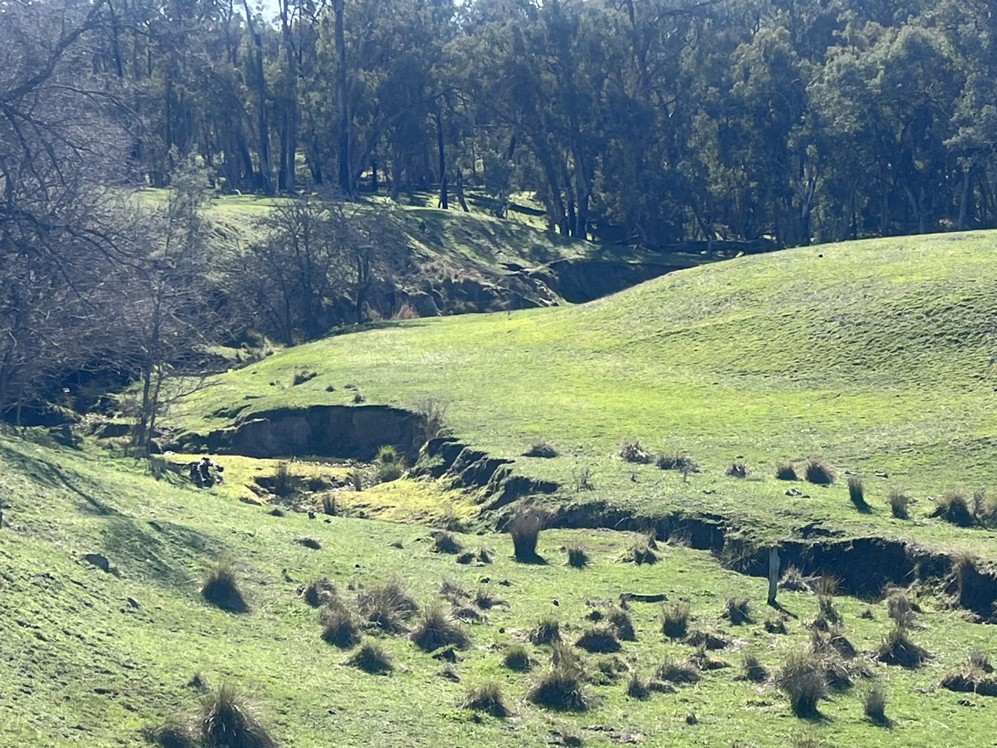 Additional image 13 of Cheesley Gate Road, Indigo Valley VIC 3688