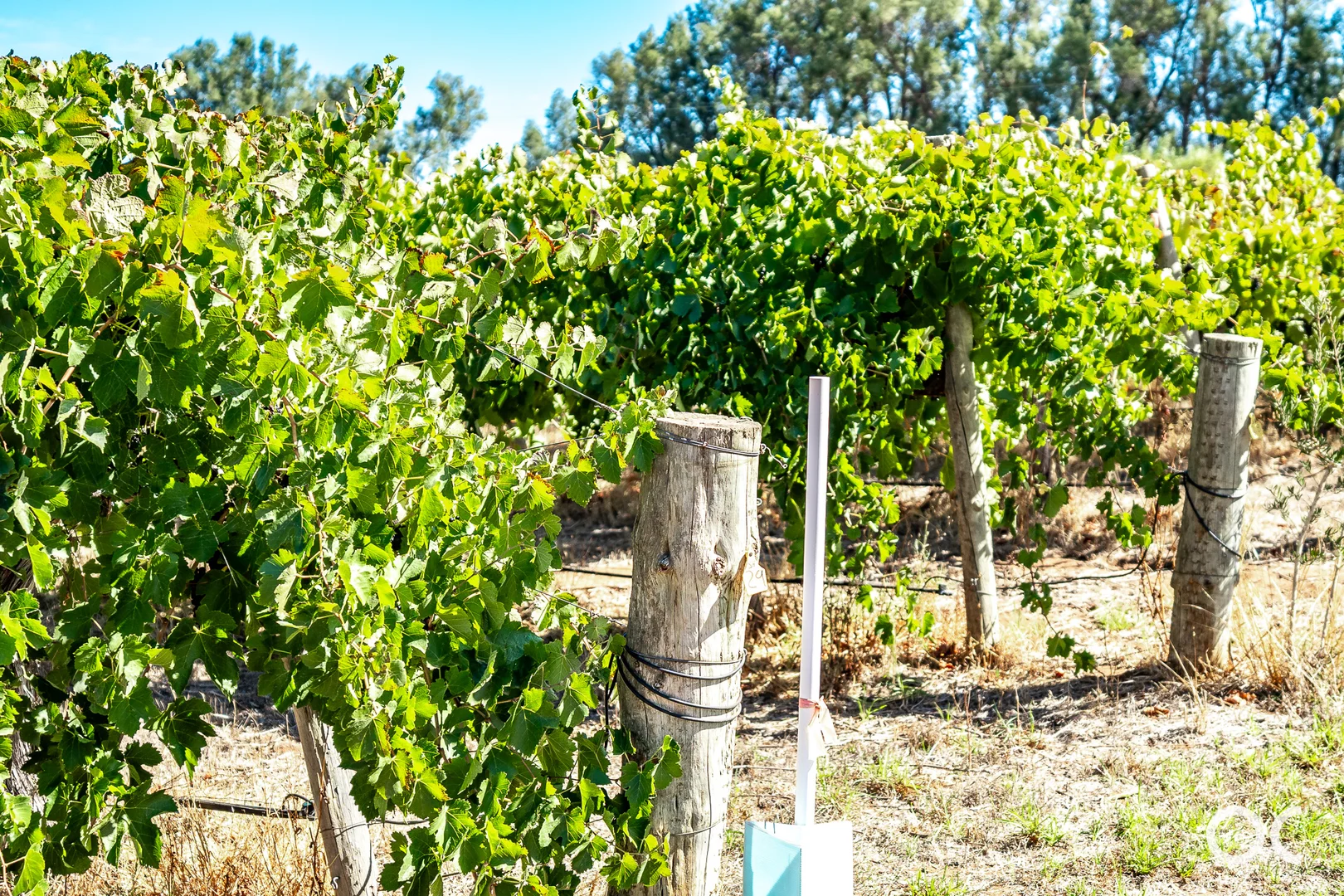 Additional image 38 of 370 Clements Road, Langhorne Creek SA 5255