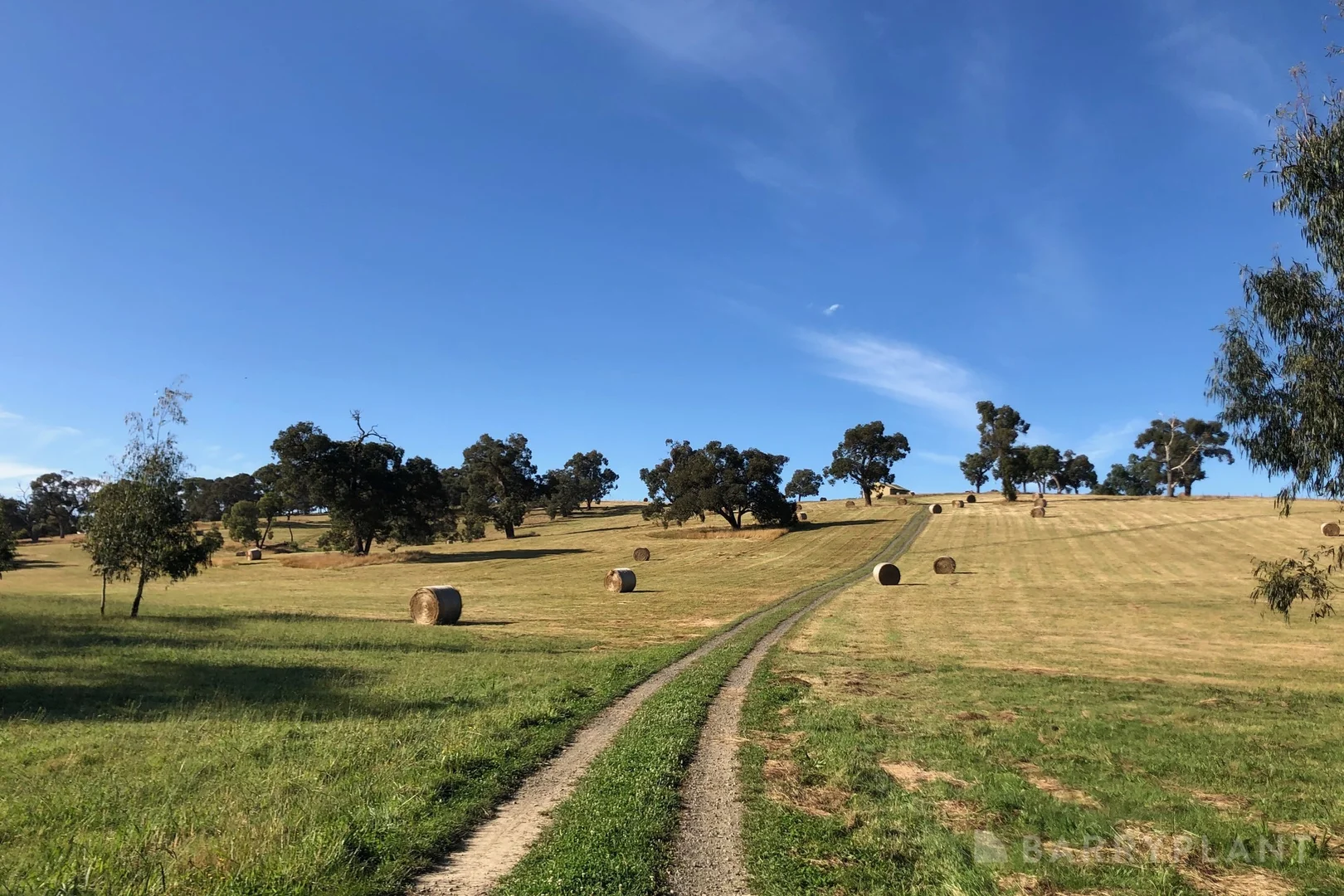 Additional image 9 of 450 Sheepstation Creek Road, Yellingbo VIC 3139