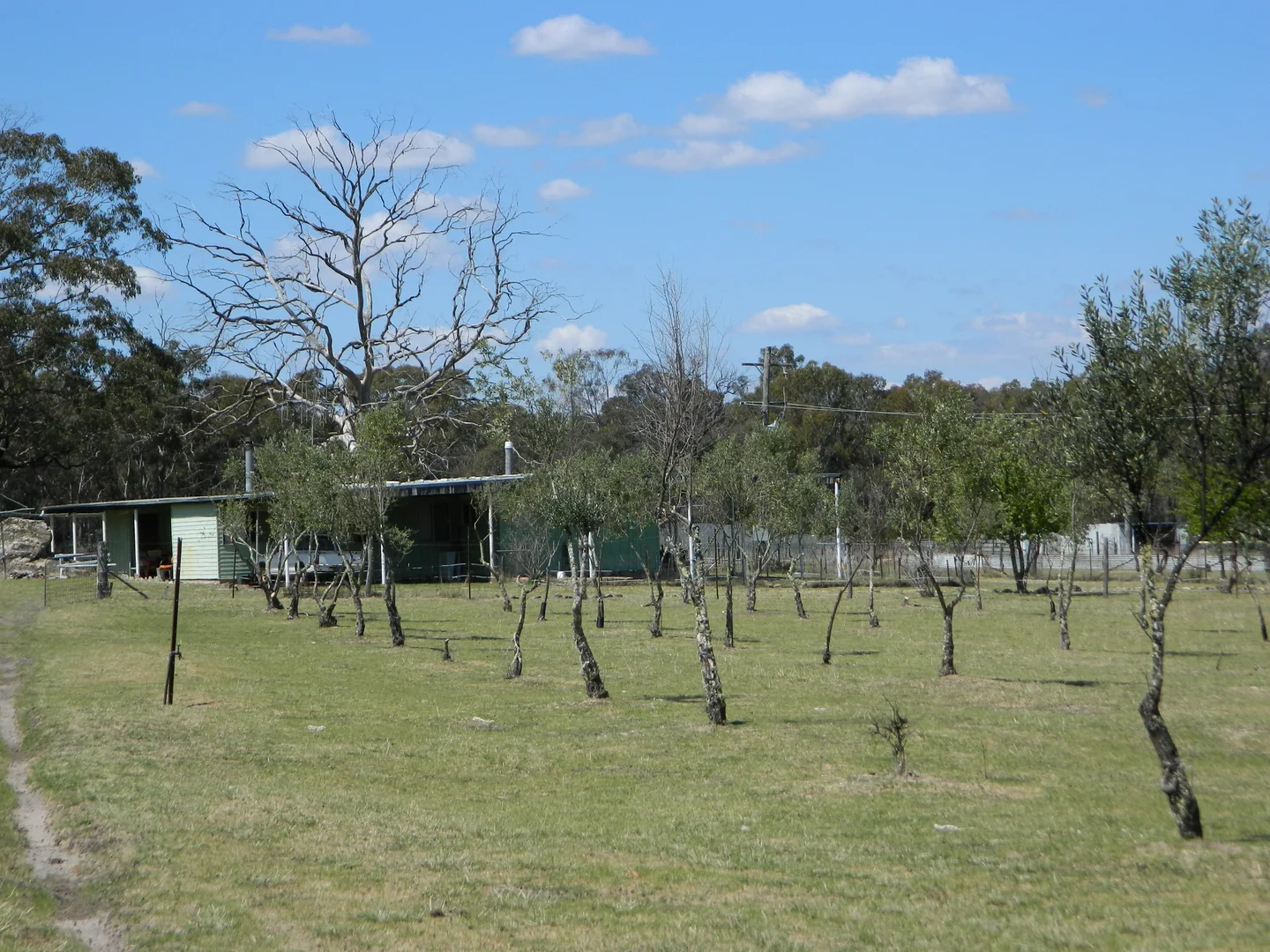 Additional image 25 of 485 Reedy Creek Road, Rylstone NSW 2849