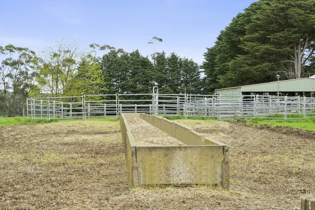 Additional image 19 of 101 Jancourt Forest Road, Carpendeit VIC 3260