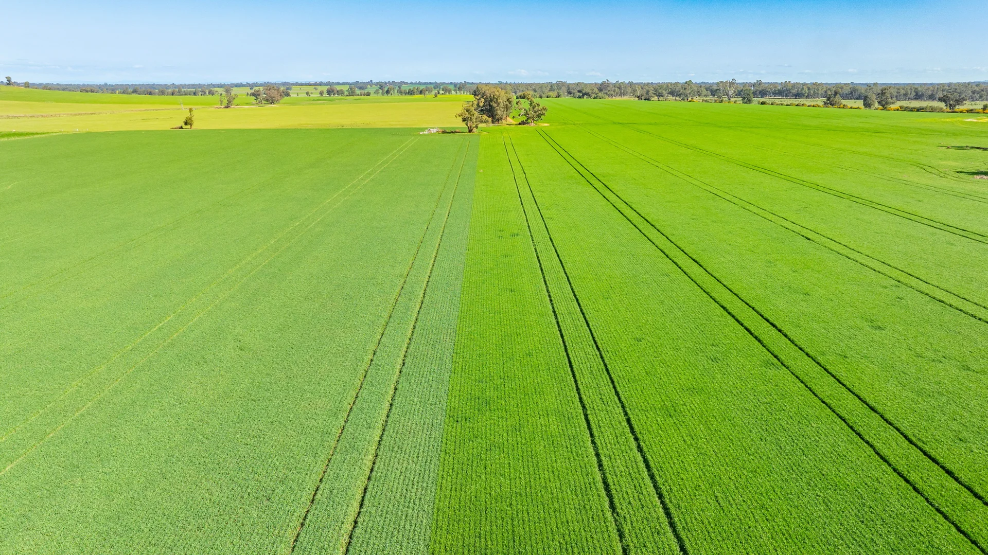 Additional image 24 of BOOROOL Mossdale Road, Balldale NSW 2646