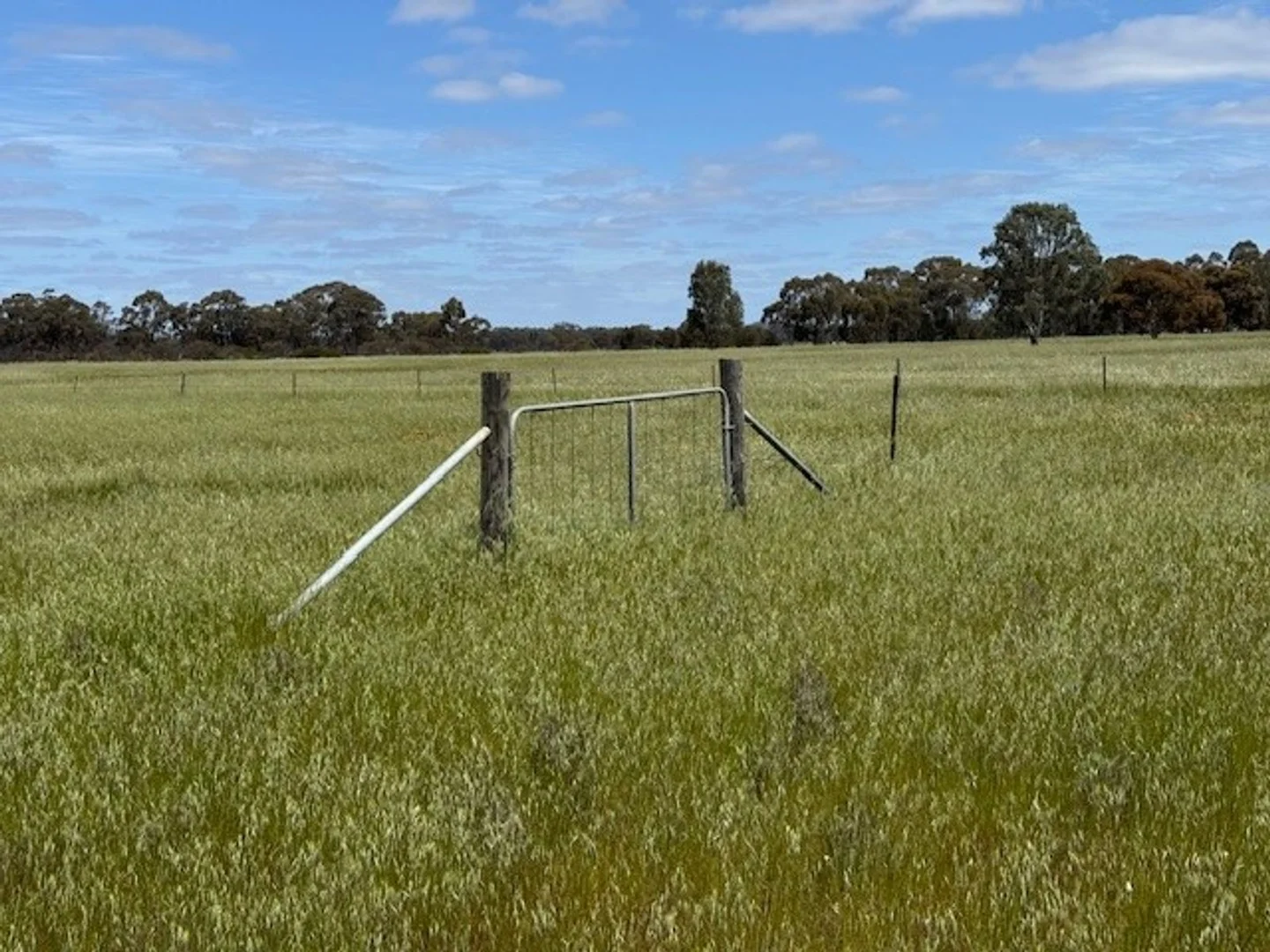 Additional image 8 of CA 2 Sec 9/CA 2 Sec 9 Bailie road, Inglewood VIC 3517