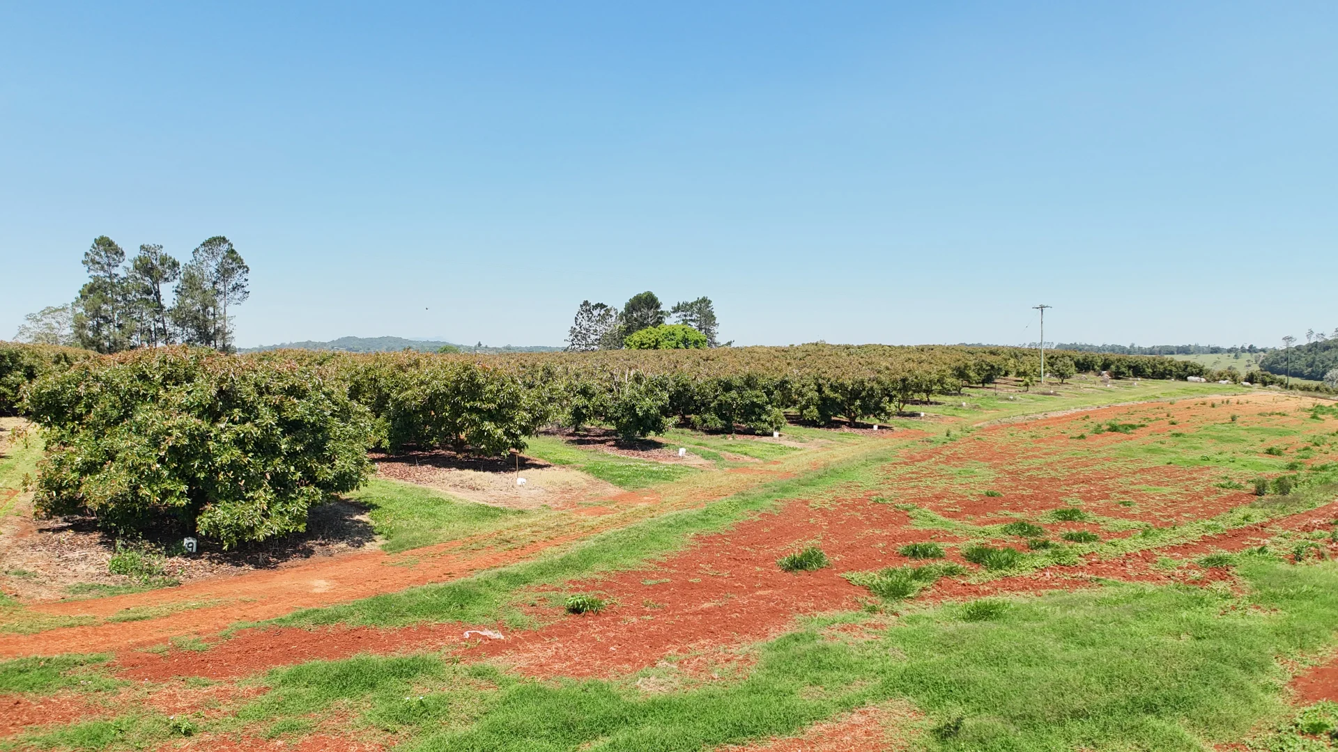 Additional image 29 of 767 Peeramon Road, Peeramon QLD 4885