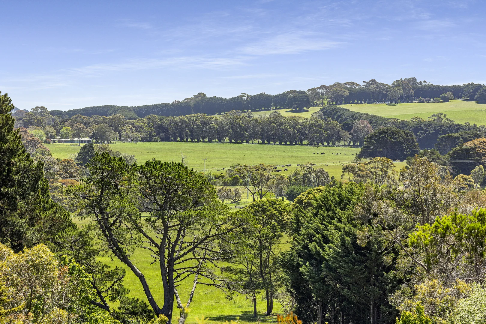 Additional image 9 of 6 Bluff Avenue, Flinders VIC 3929