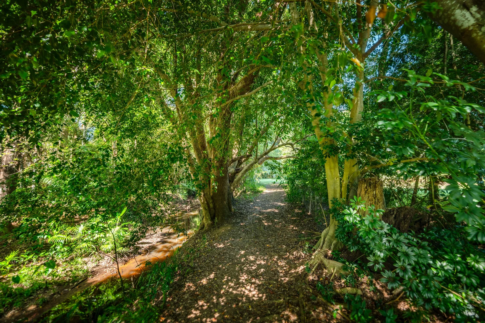 Additional image 15 of 13 Connell Place, Bellingen NSW 2454