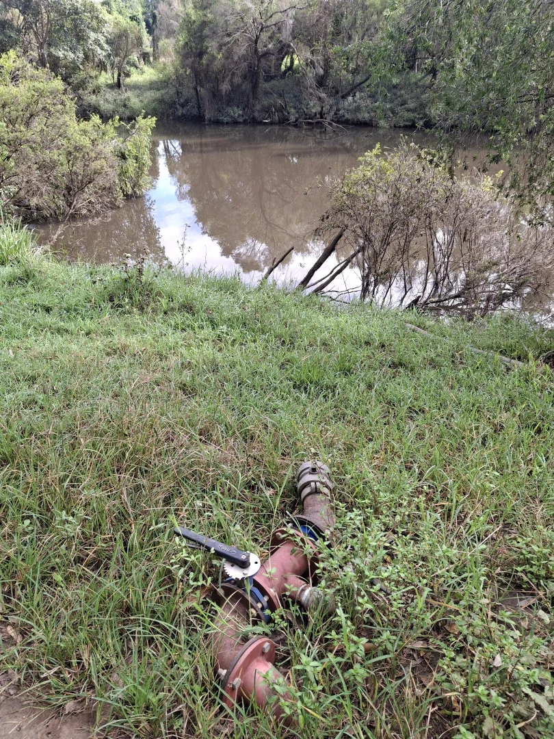 Additional image 14 of 122 Longs Road, Bucca QLD 4670