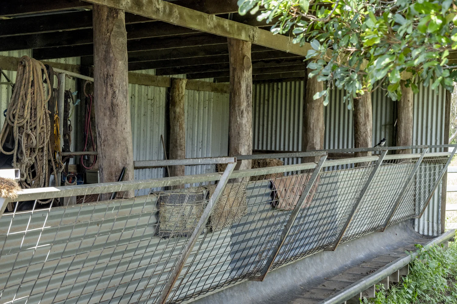 Additional image 13 of Goomeribong QLD 4601