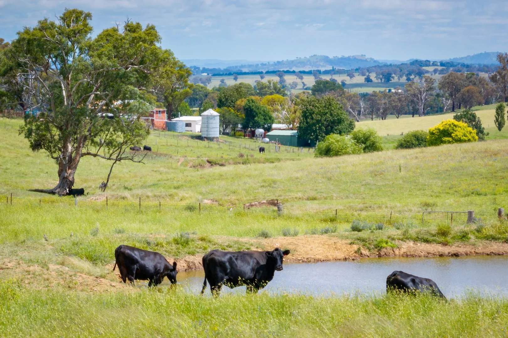 Additional image 35 of 188 Burkes Lane, Brewongle NSW 2795