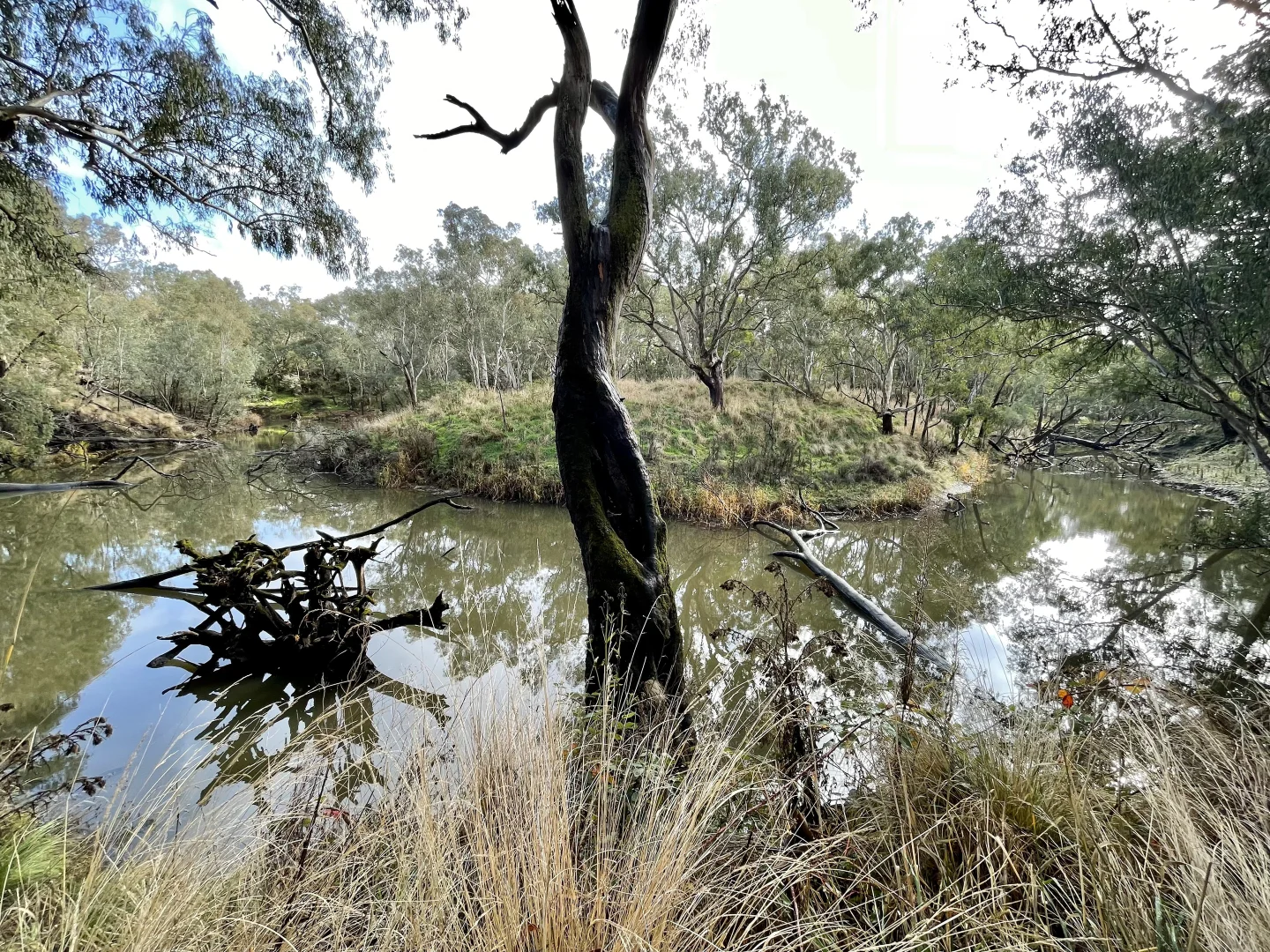 Additional image 3 of Dartmoor-Hamilton Road, Dartmoor VIC 3304