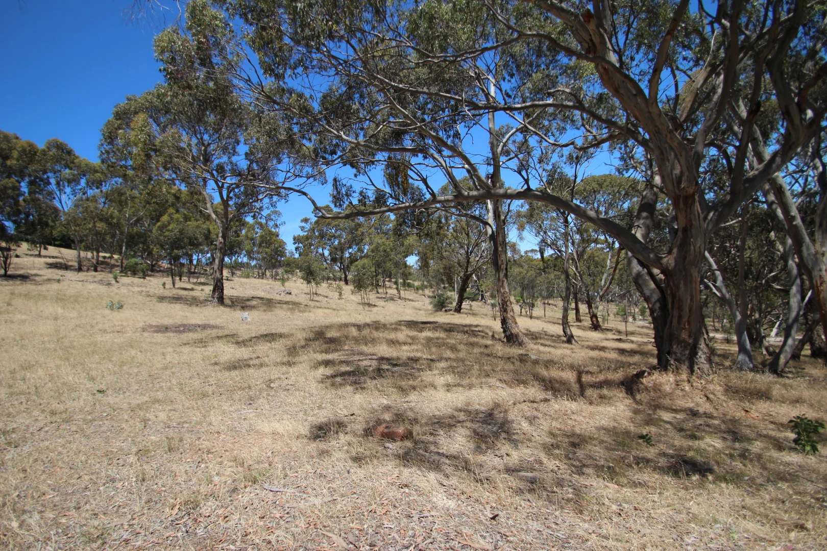 Additional image 16 of Lot 44 Norman Drive, Stanley Flat SA 5453