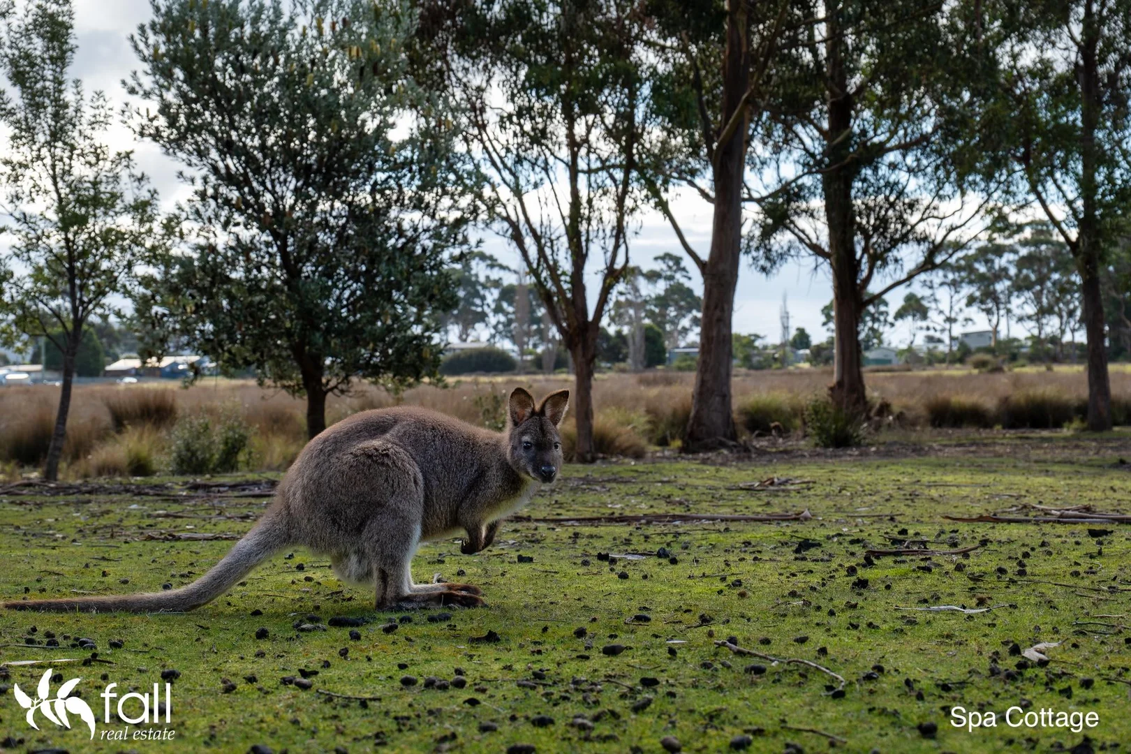 Additional image 23 of 49 Hayes Road, Adventure Bay TAS 7150