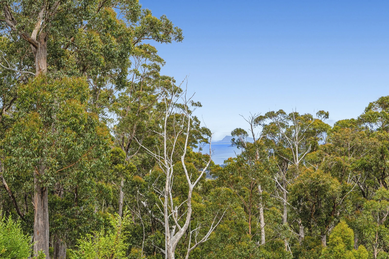 Additional image 29 of 221 Groombridges Road, Kettering TAS 7155