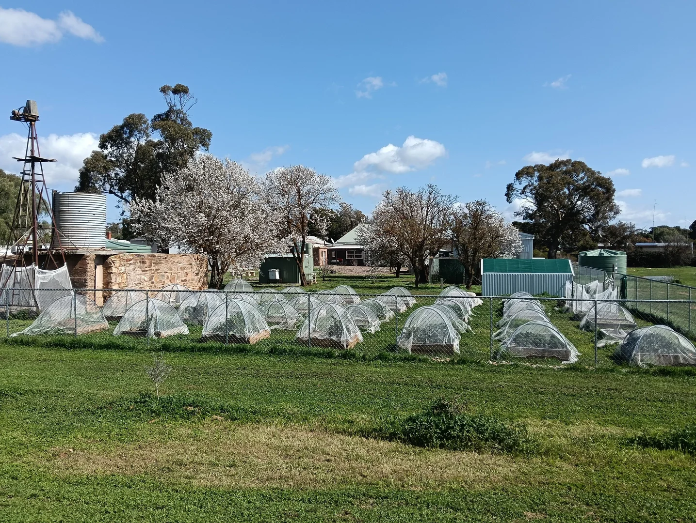 Additional image 20 of 27 Alfred Street, Hallett SA 5419