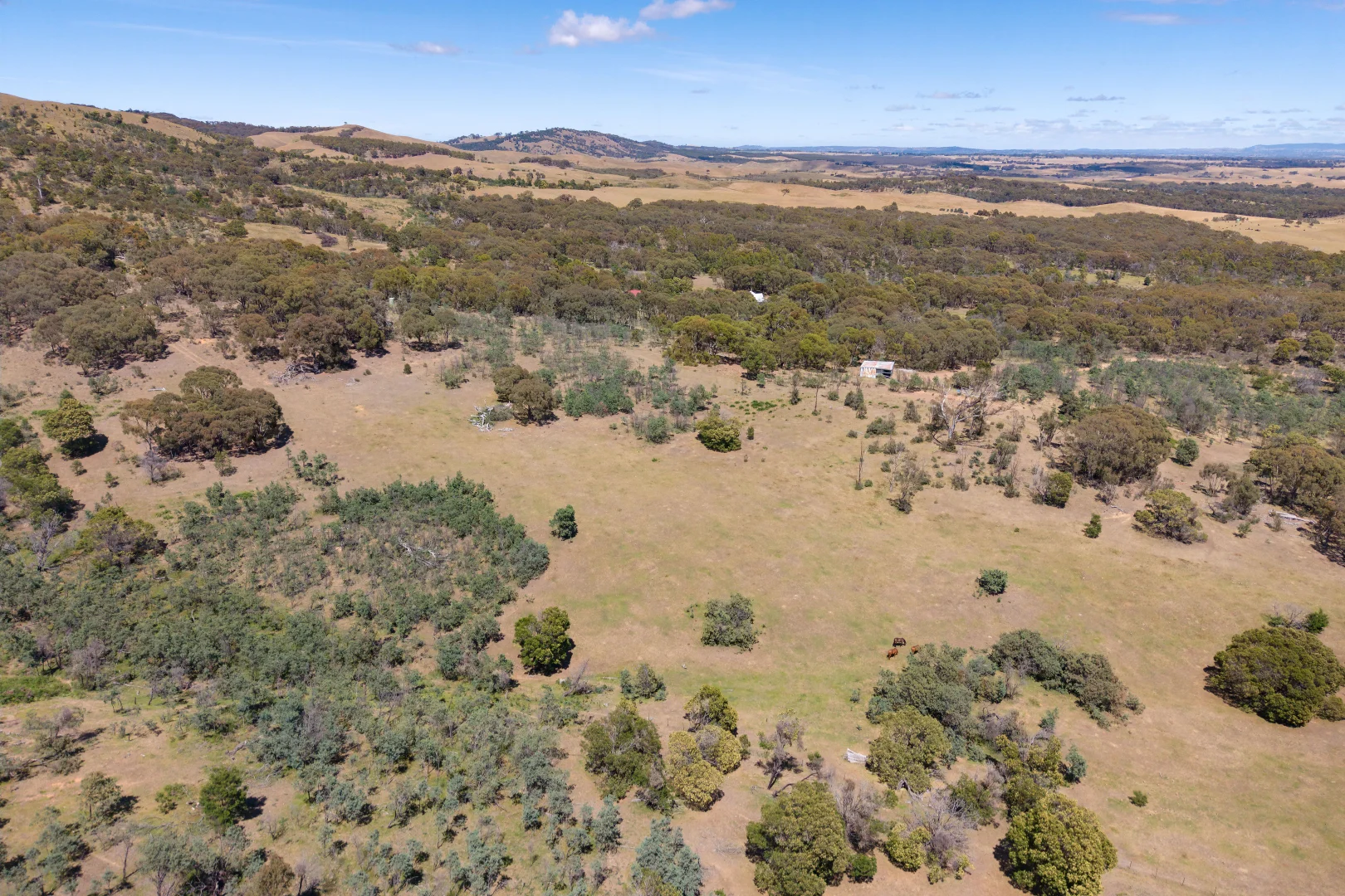Additional image 36 of 55 Dons Lane, Glenhope East VIC 3522