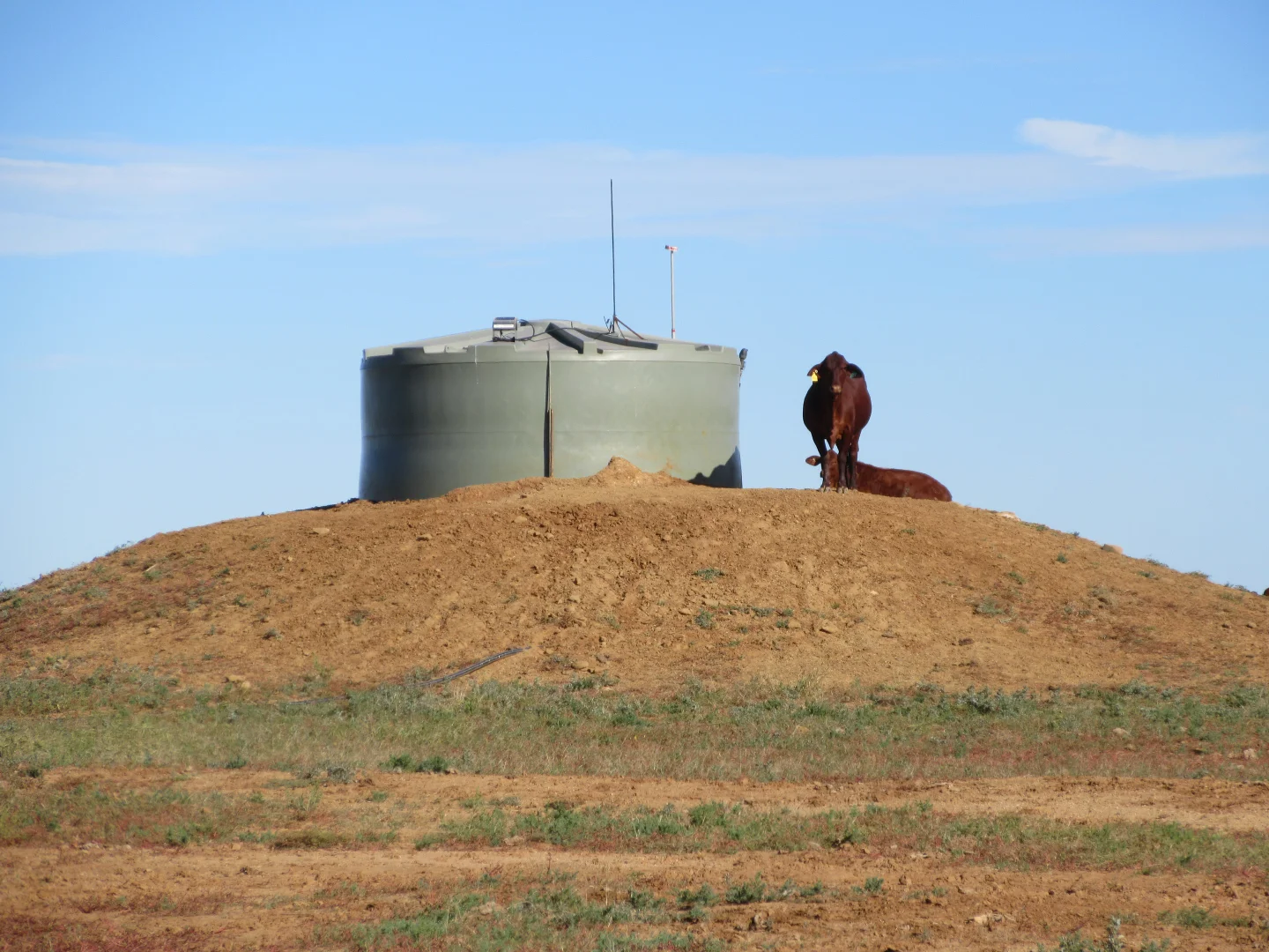 Additional image 3 of 715 Royston Lane, Longreach QLD 4730