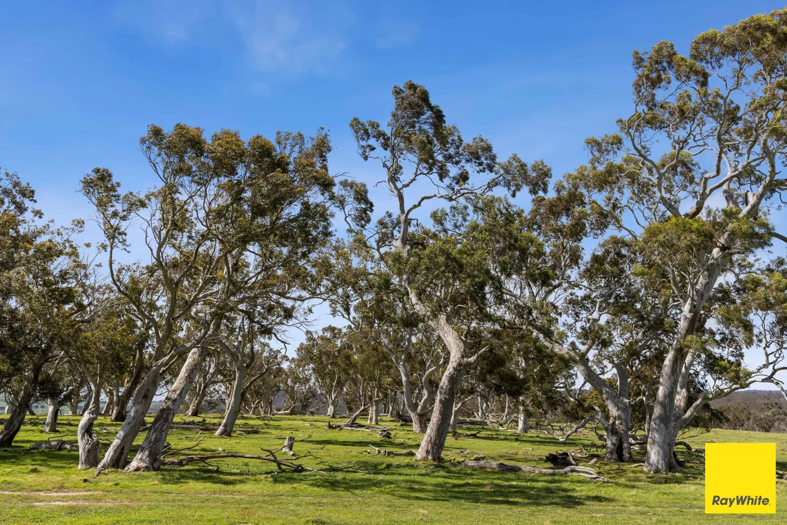 Additional image 18 of 115 Goulburn Road, Mulloon NSW 2622