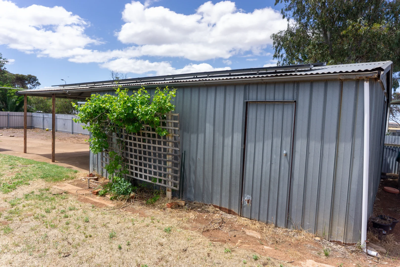 Additional image 25 of 1 Whyte Street, Cleve SA 5640