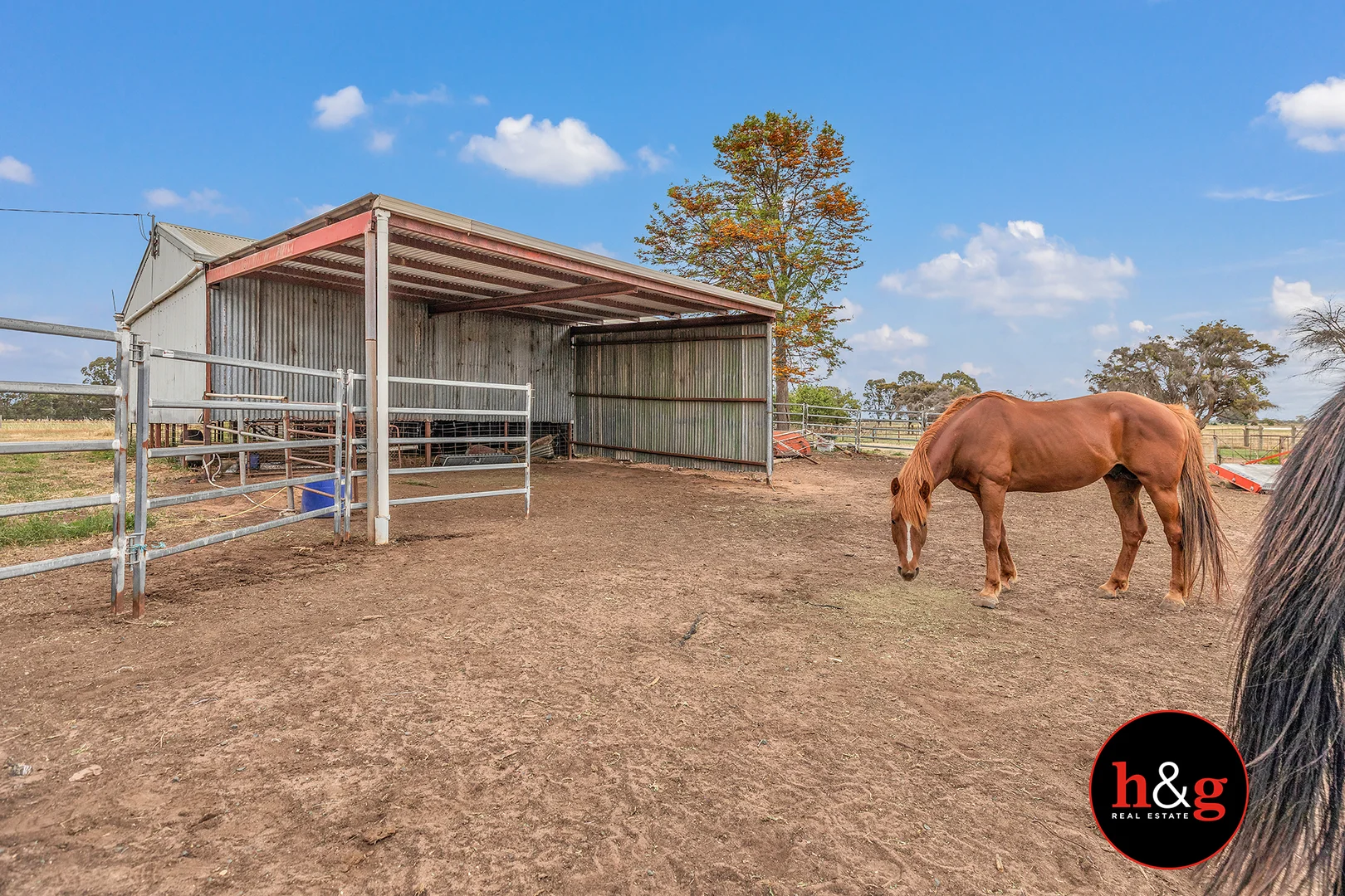 Additional image 15 of 1650 Girgarre East Road, Girgarre East VIC 3616