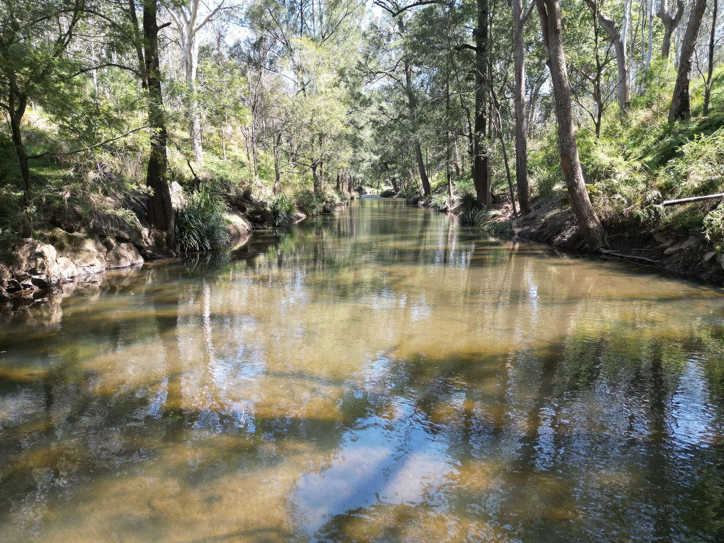 Additional image 6 of 638 Tops Road, Nowendoc NSW 2354
