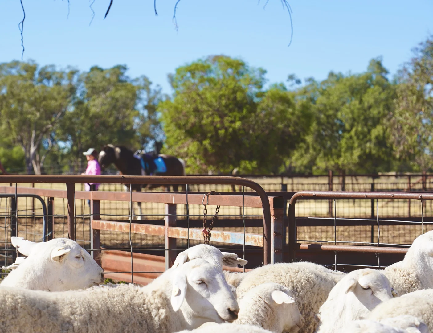 Additional image 25 of Buddabadah NSW 2825