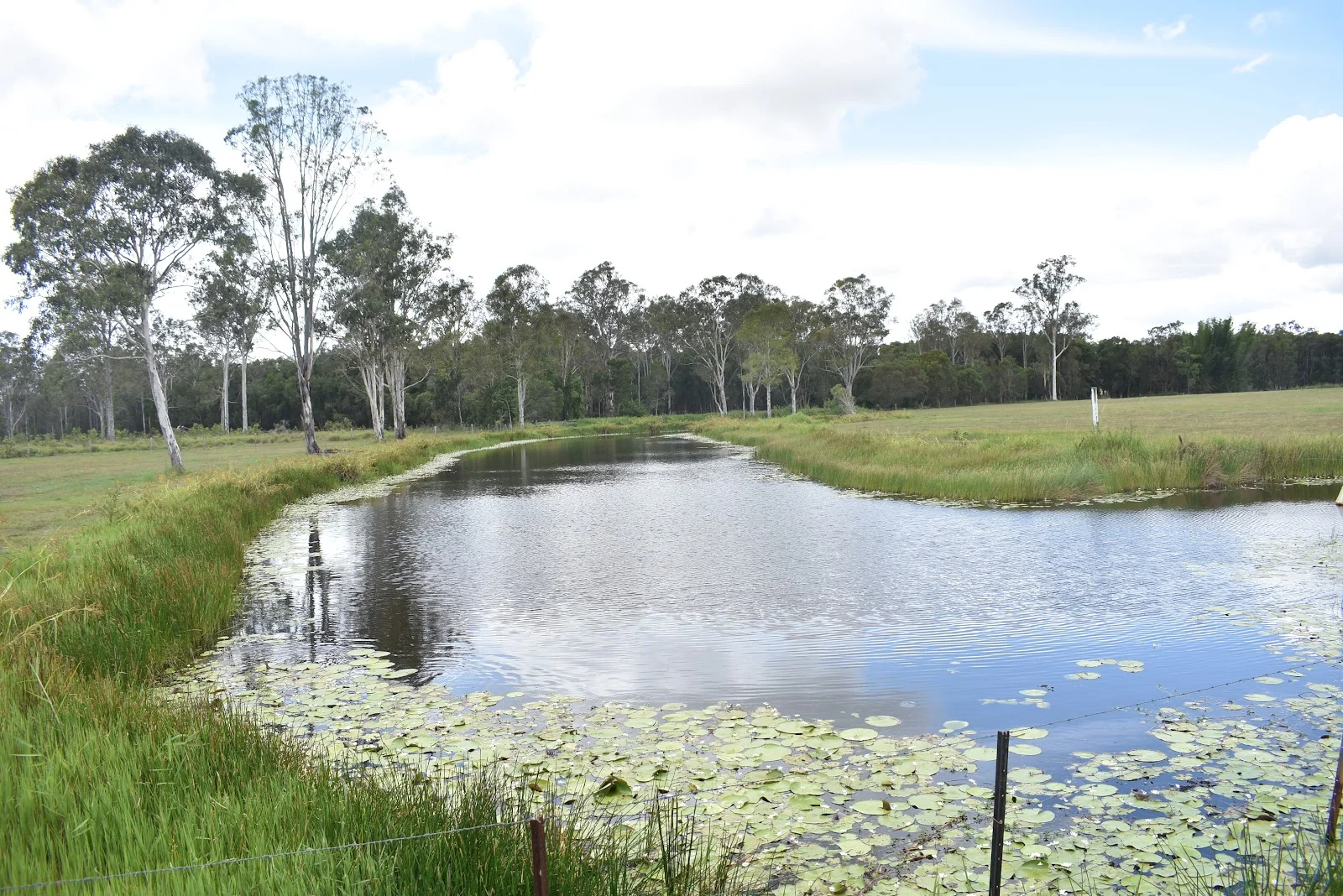 Additional image 9 of 381 Beaver Rock Road, Beaver Rock QLD 4650