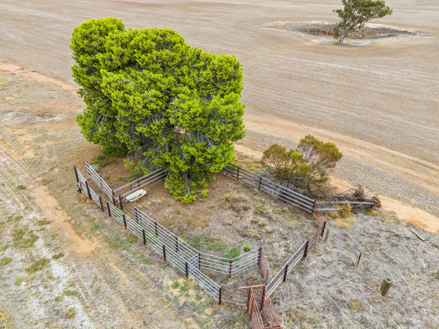 Additional image 14 of 198 Barnes Road, Finley NSW 2713