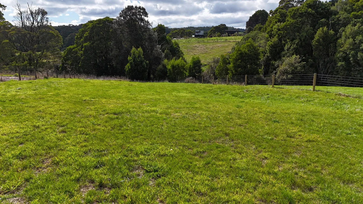 Additional image 3 of 6 Lavers Hill-Cobden Road, Lavers Hill VIC 3238