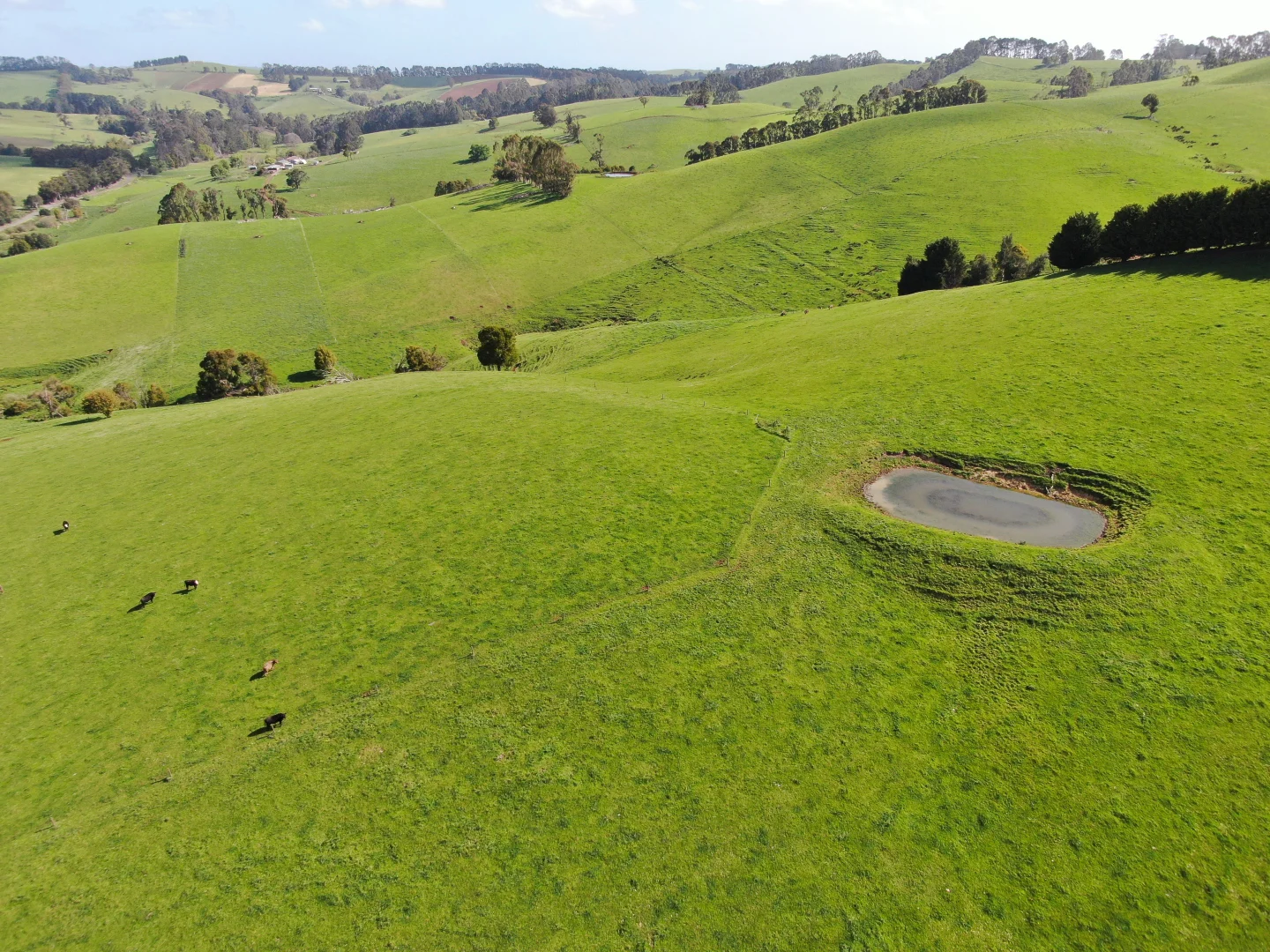 Additional image 25 of 365 Limonite Road, Boolarra South VIC 3870